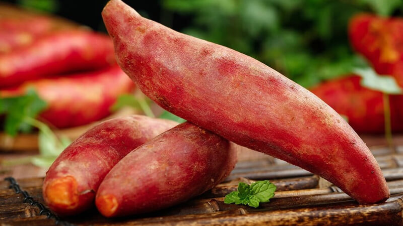 sau nâng mũi có được ăn khoai lang không